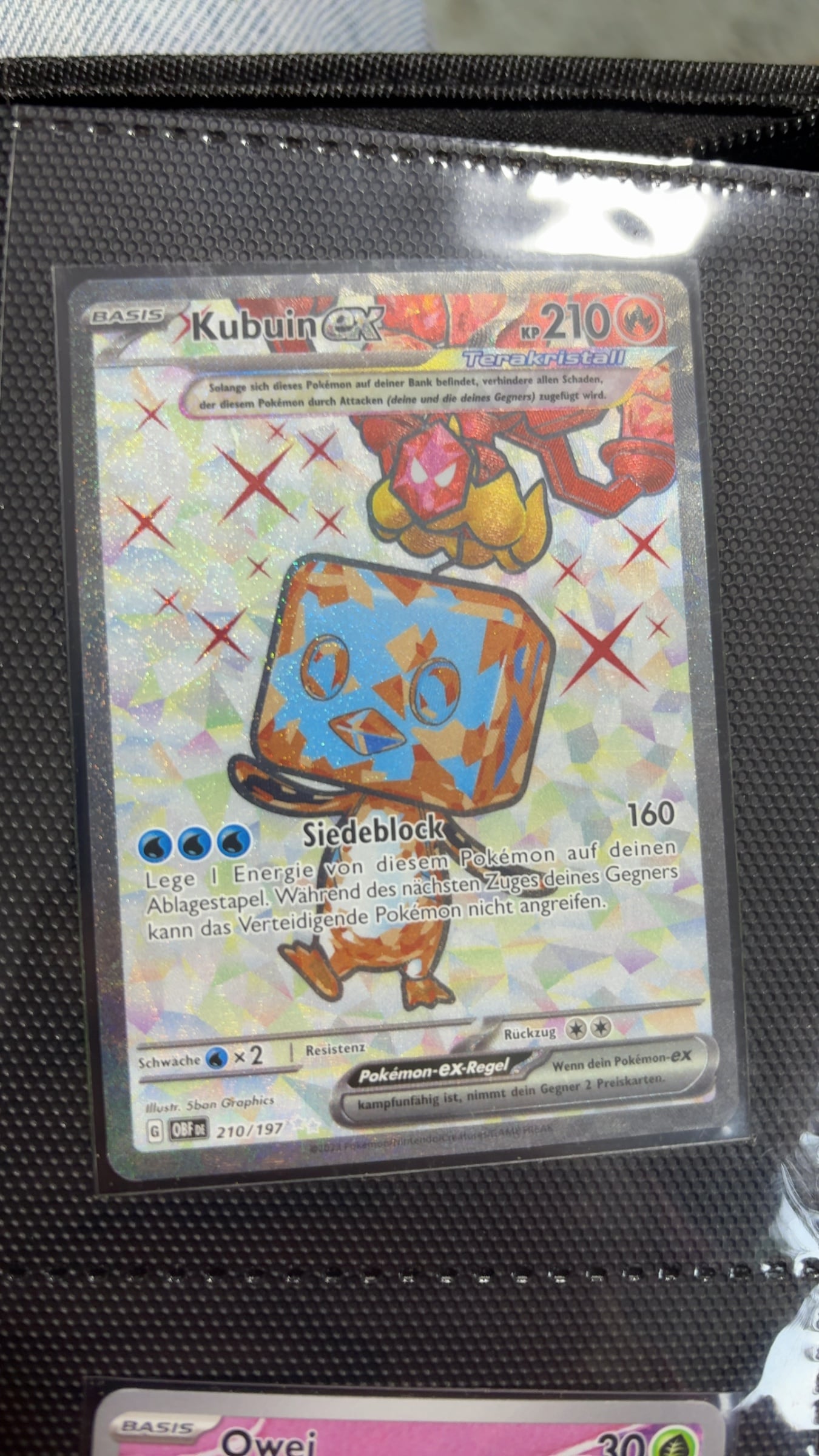 Kubuin ex