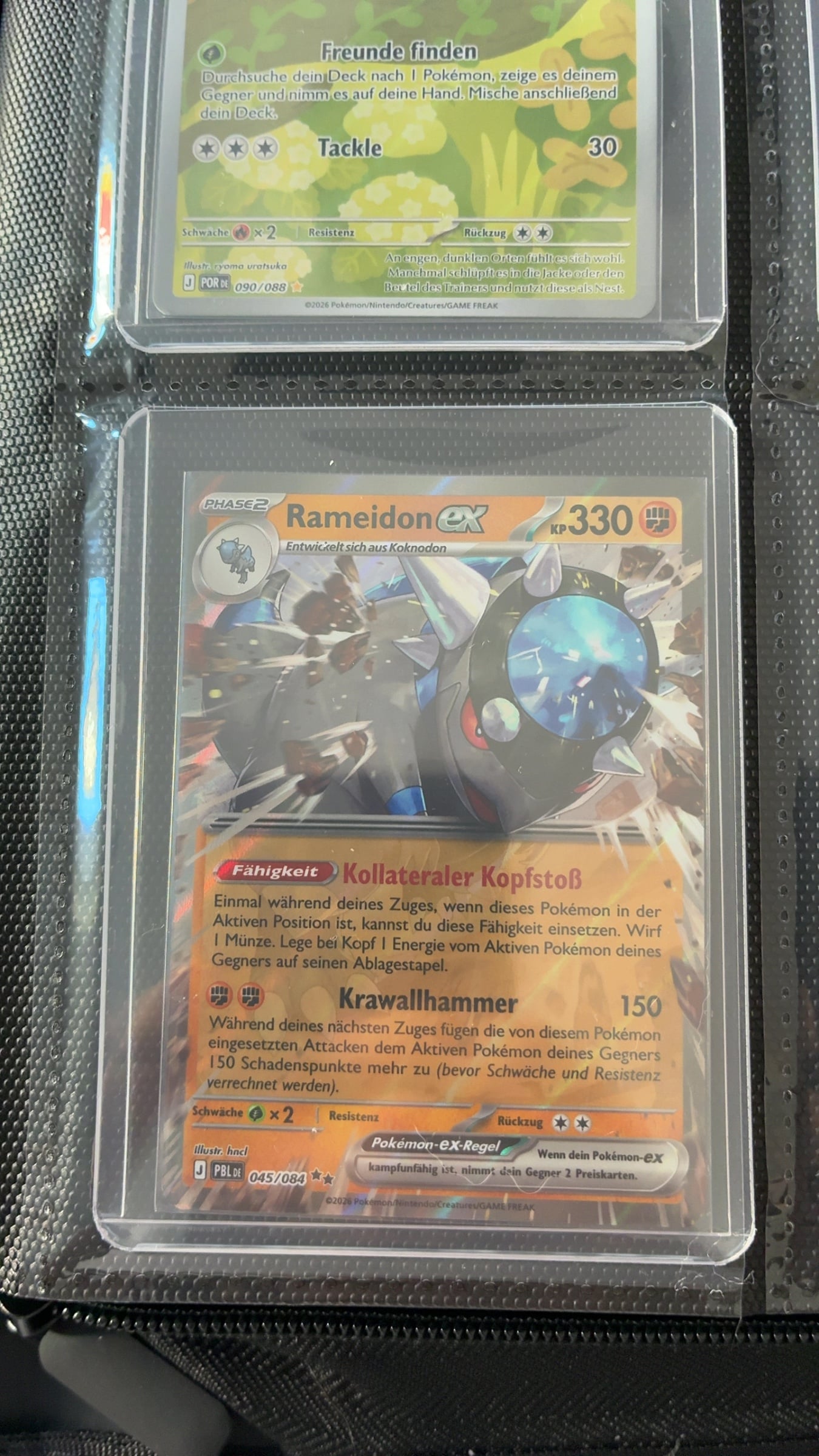 Rameidon ex
